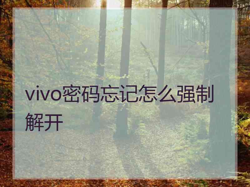 vivo密码忘记怎么强制解开