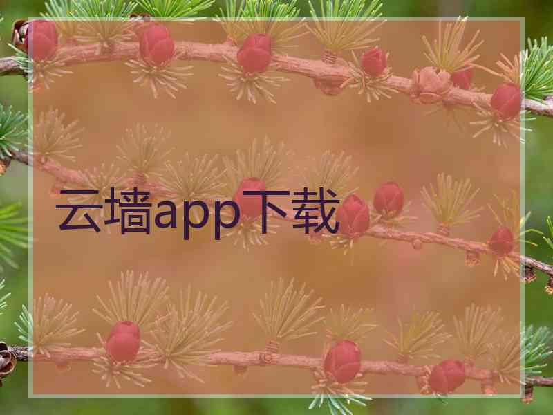 云墙app下载