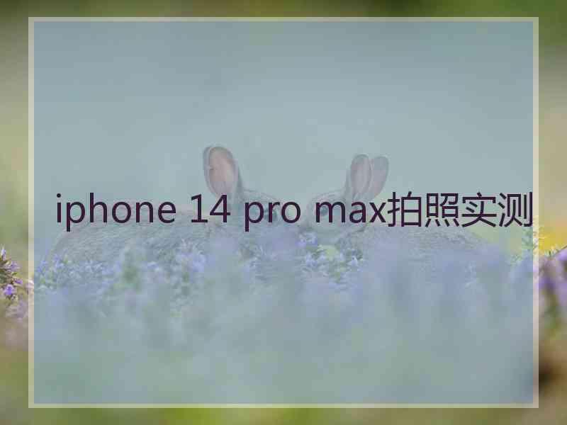 iphone 14 pro max拍照实测