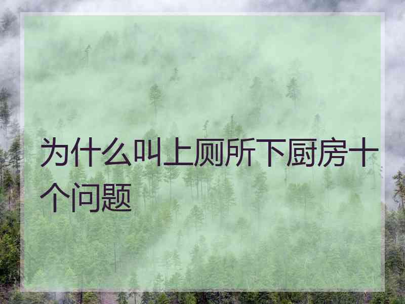 为什么叫上厕所下厨房十个问题