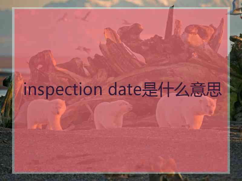 inspection date是什么意思