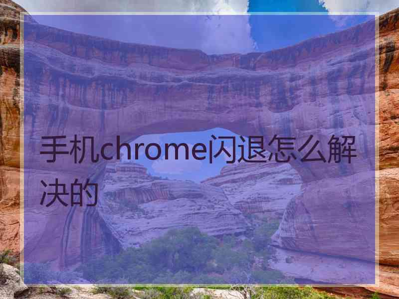 手机chrome闪退怎么解决的