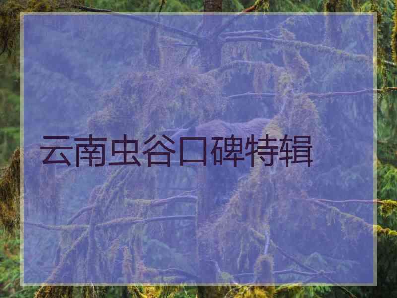 云南虫谷口碑特辑