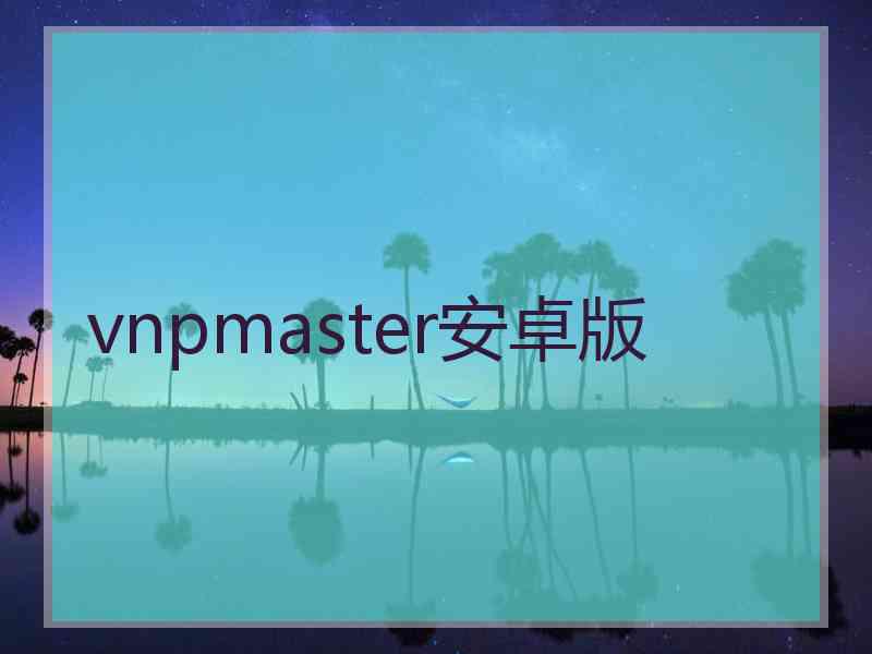 vnpmaster安卓版