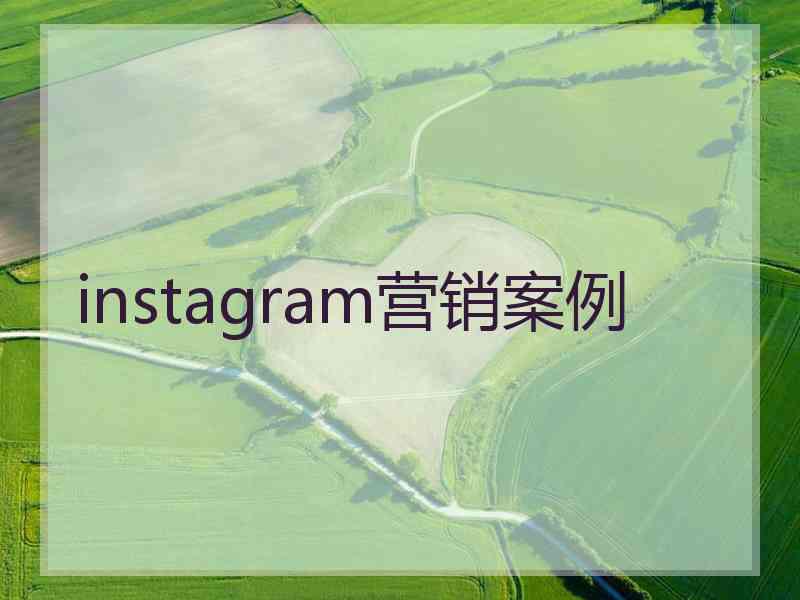 instagram营销案例