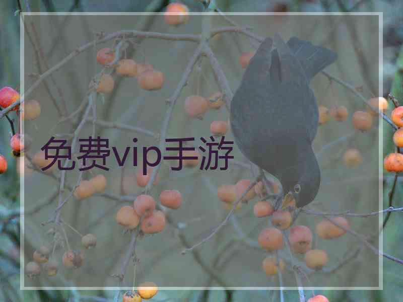 免费vip手游