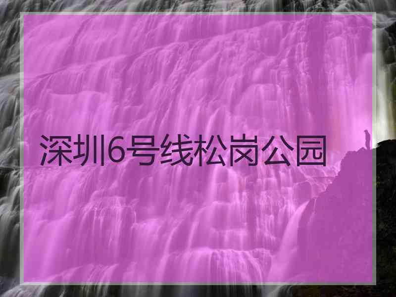 深圳6号线松岗公园