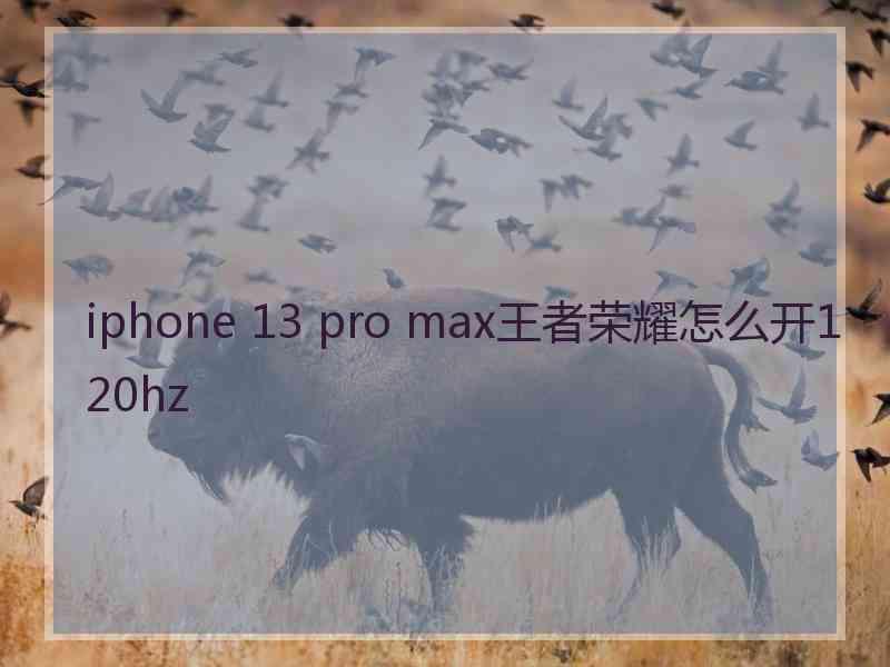 iphone 13 pro max王者荣耀怎么开120hz