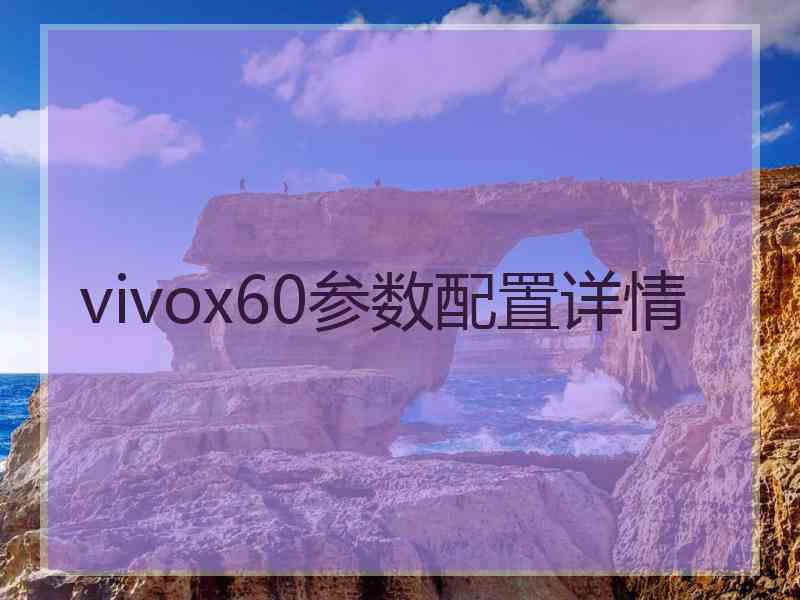 vivox60参数配置详情