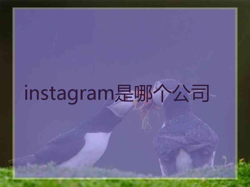 instagram是哪个公司