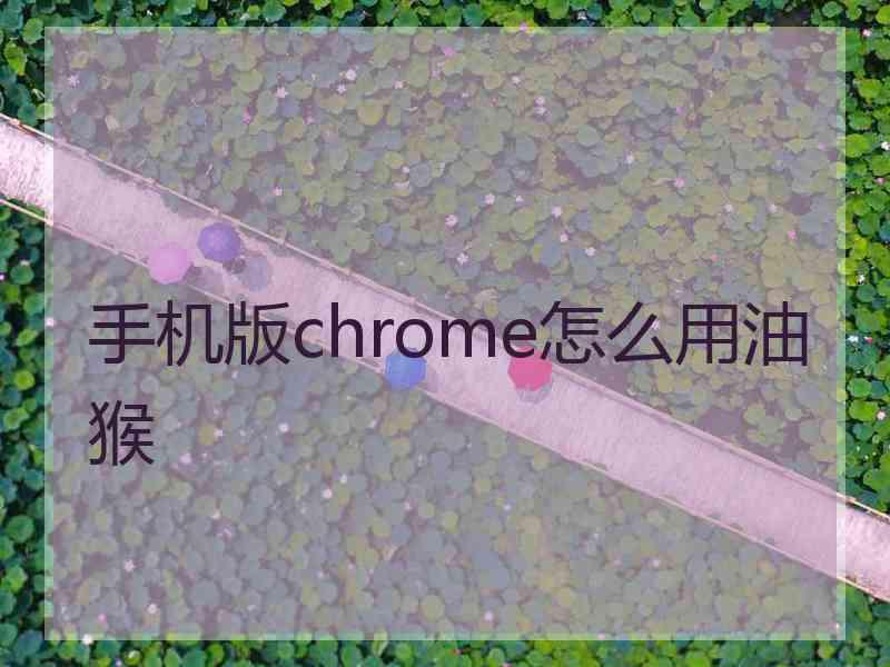 手机版chrome怎么用油猴