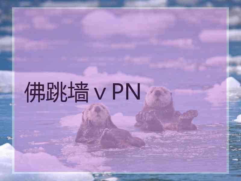 佛跳墙ⅴPN