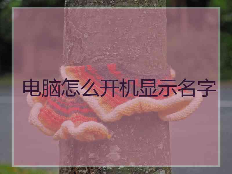 电脑怎么开机显示名字