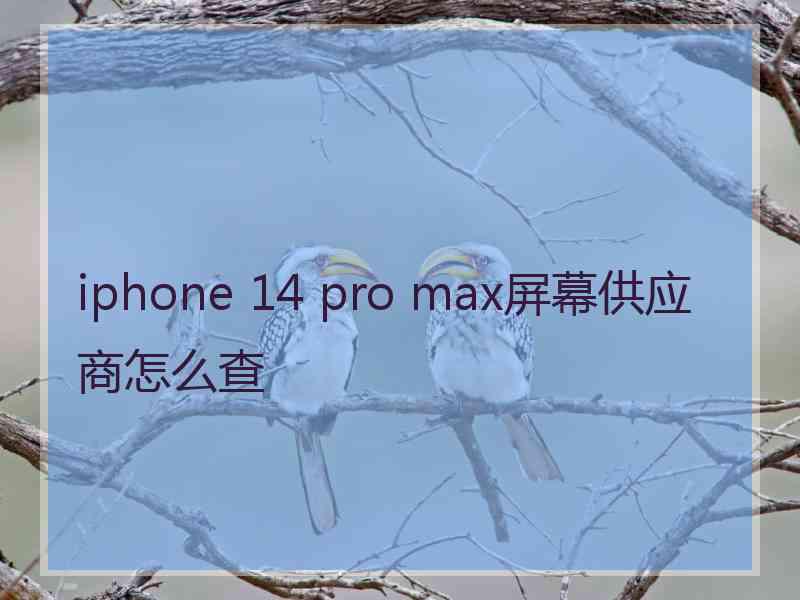 iphone 14 pro max屏幕供应商怎么查