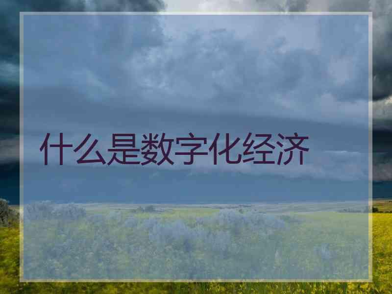 什么是数字化经济