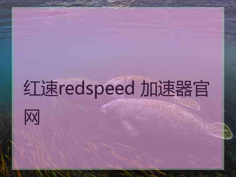 红速redspeed 加速器官网