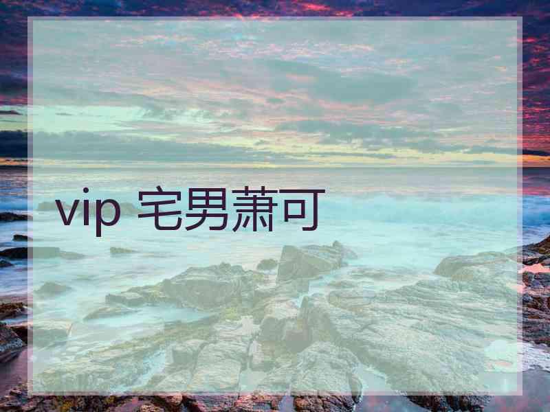 vip 宅男萧可