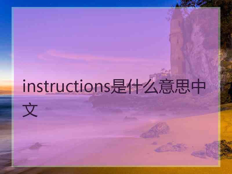 instructions是什么意思中文