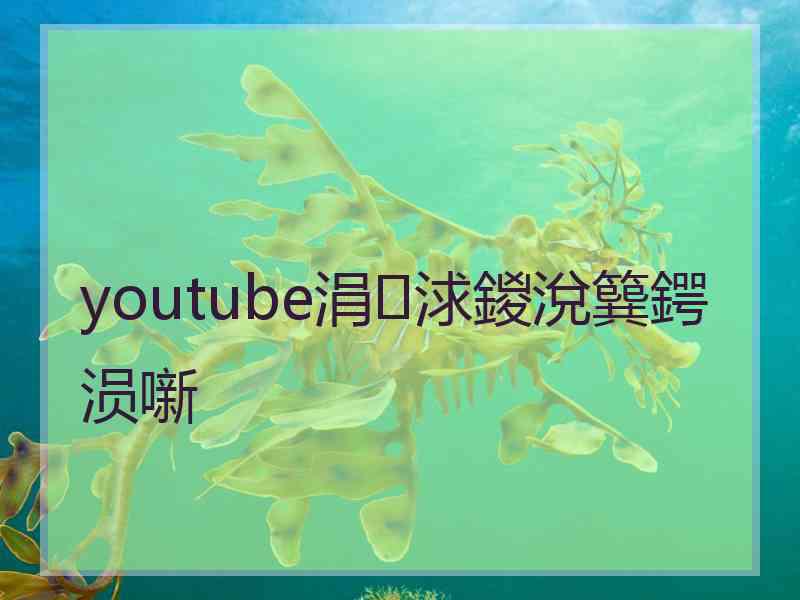 youtube涓浗鍐涗簨鍔涢噺