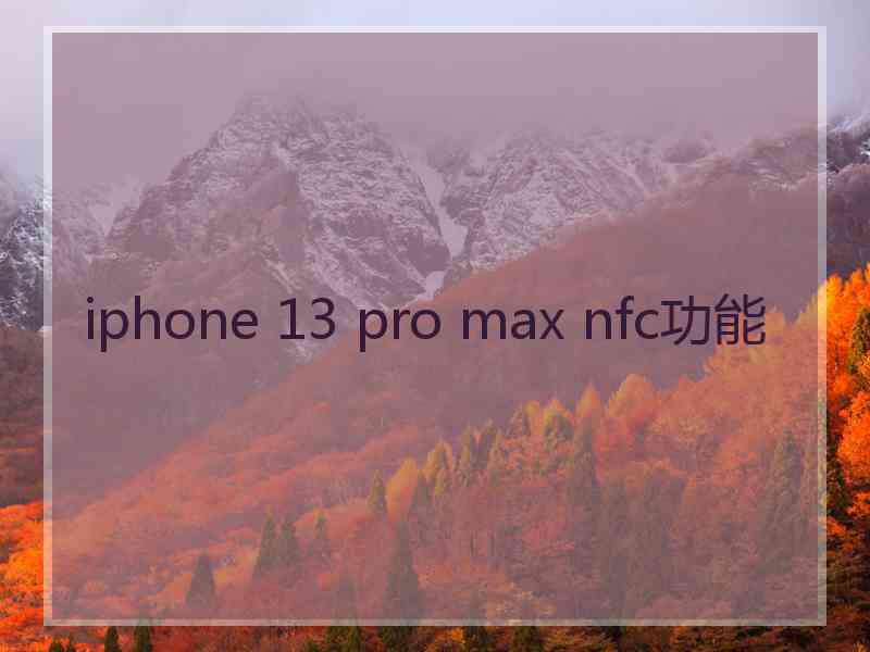 iphone 13 pro max nfc功能