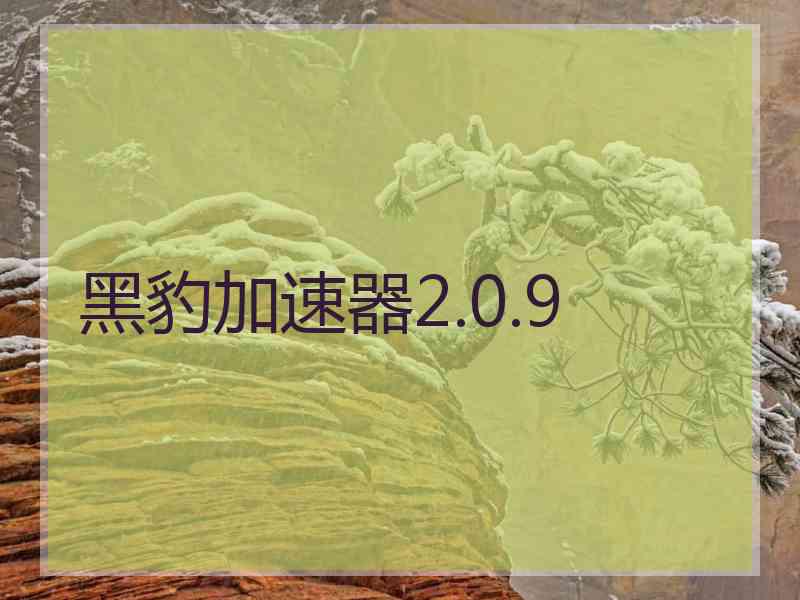 黑豹加速器2.0.9