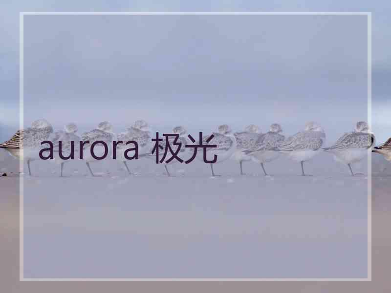 aurora 极光