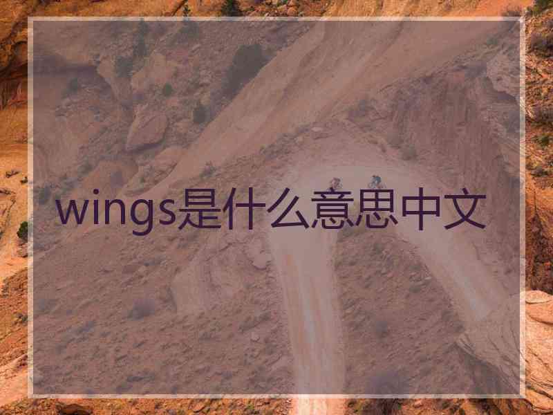 wings是什么意思中文