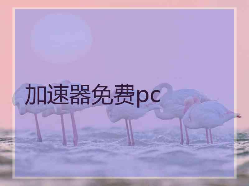 加速器免费pc