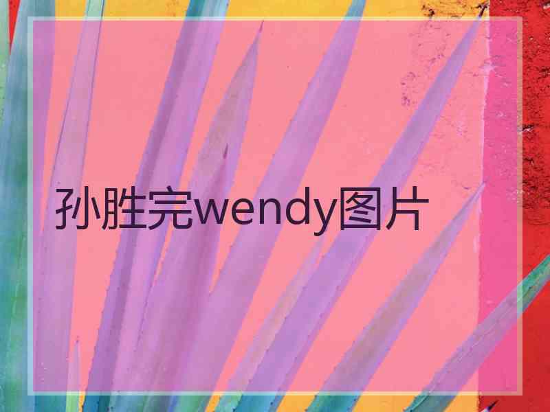 孙胜完wendy图片