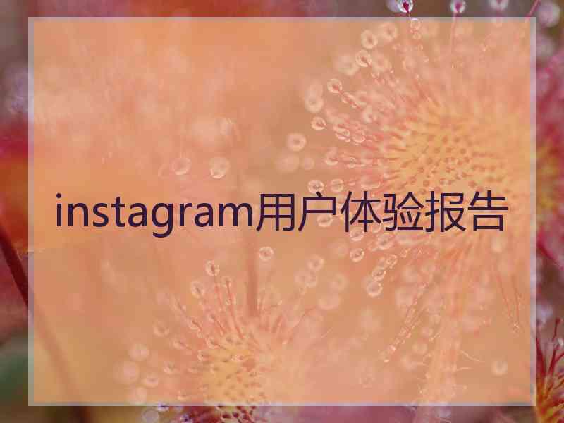 instagram用户体验报告