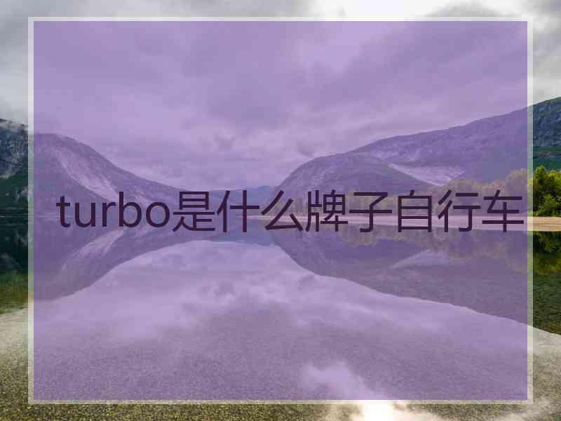 turbo是什么牌子自行车