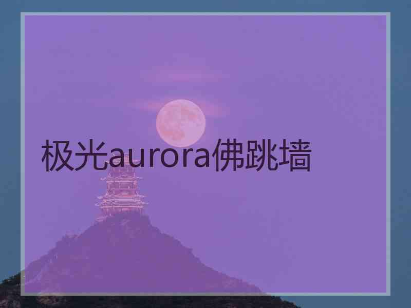 极光aurora佛跳墙