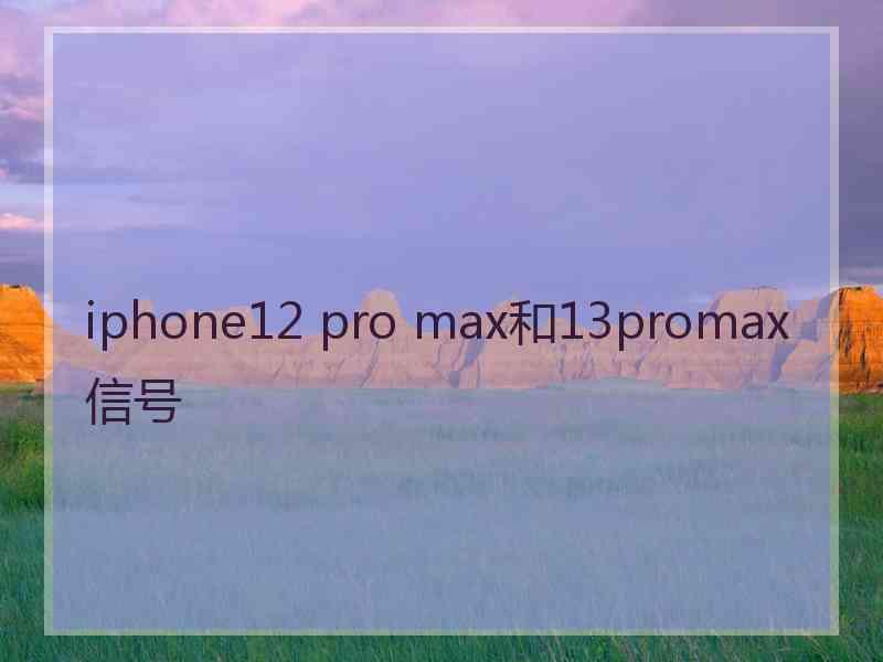 iphone12 pro max和13promax信号