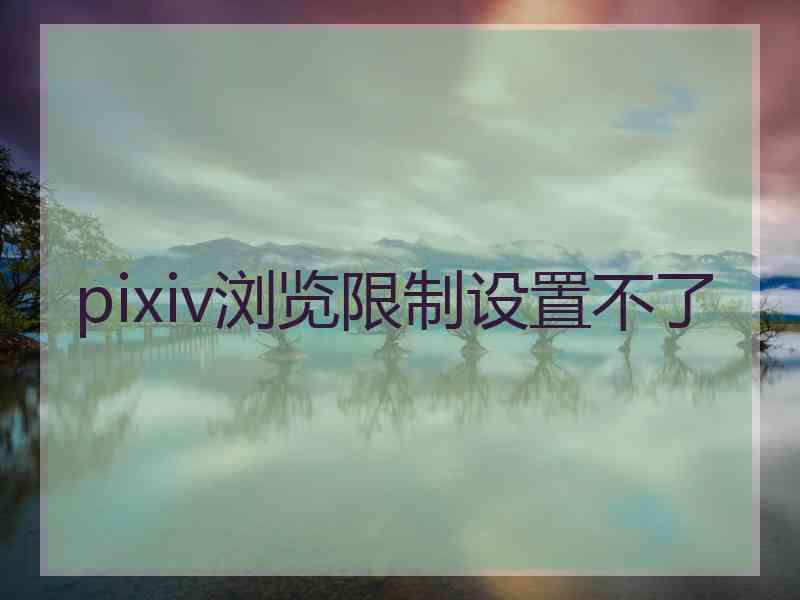 pixiv浏览限制设置不了