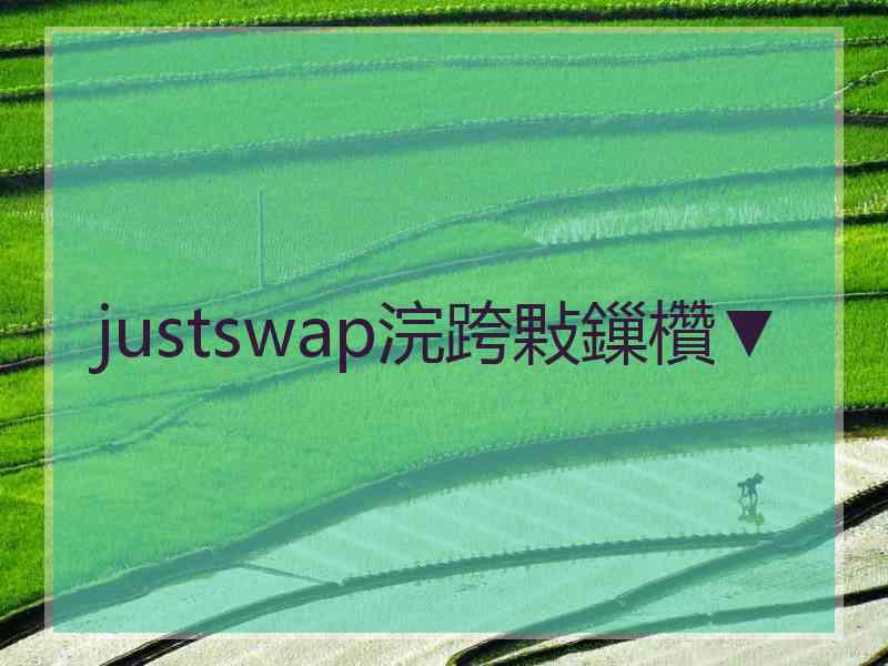 justswap浣跨敤鏁欑▼