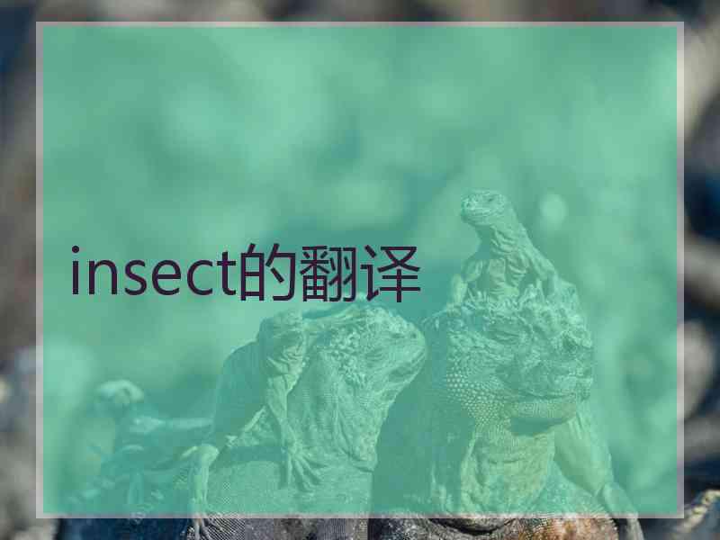 insect的翻译