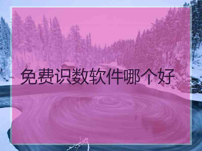 免费识数软件哪个好