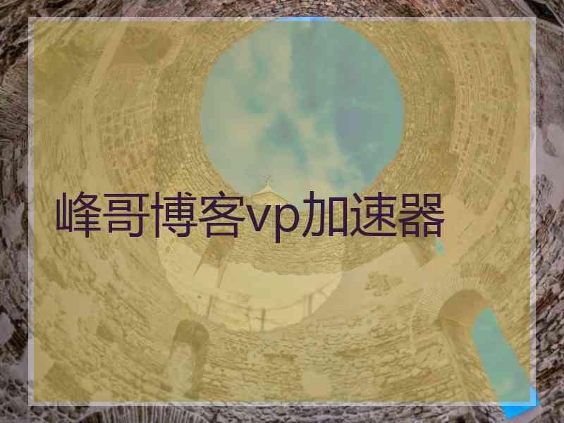 峰哥博客vp加速器