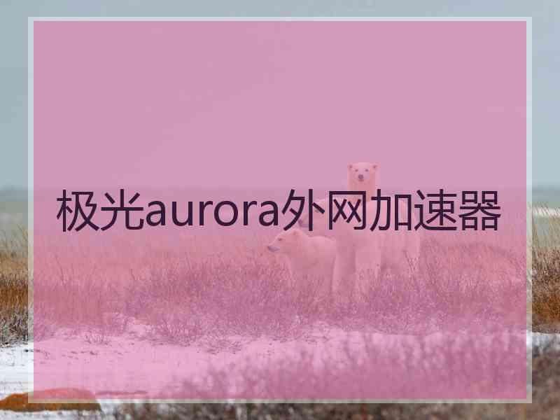 极光aurora外网加速器