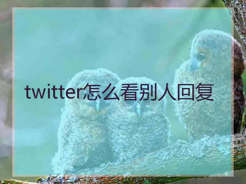 twitter怎么看别人回复