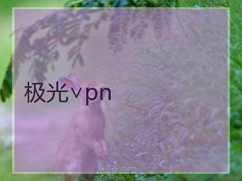 极光∨pn