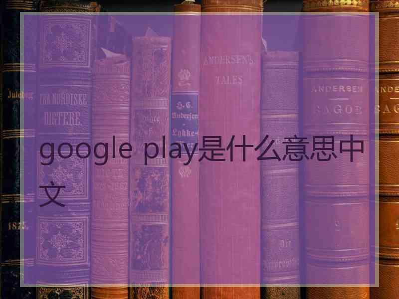 google play是什么意思中文