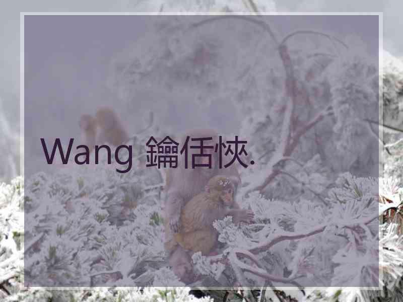 Wang 鑰佸悏.