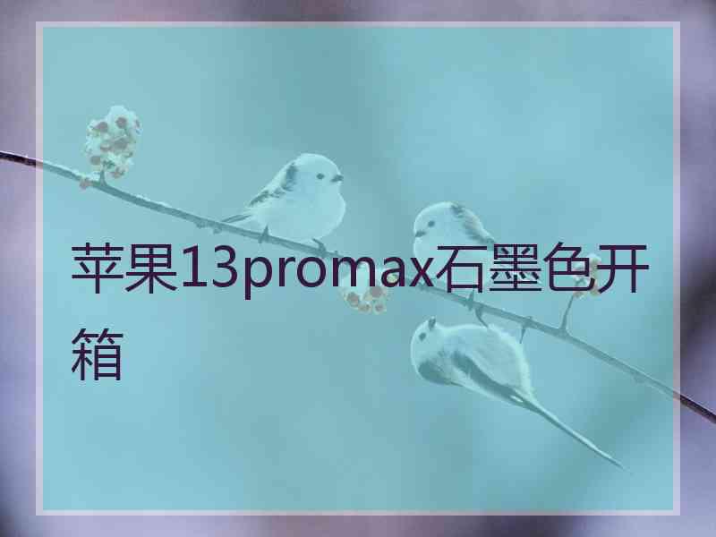 苹果13promax石墨色开箱