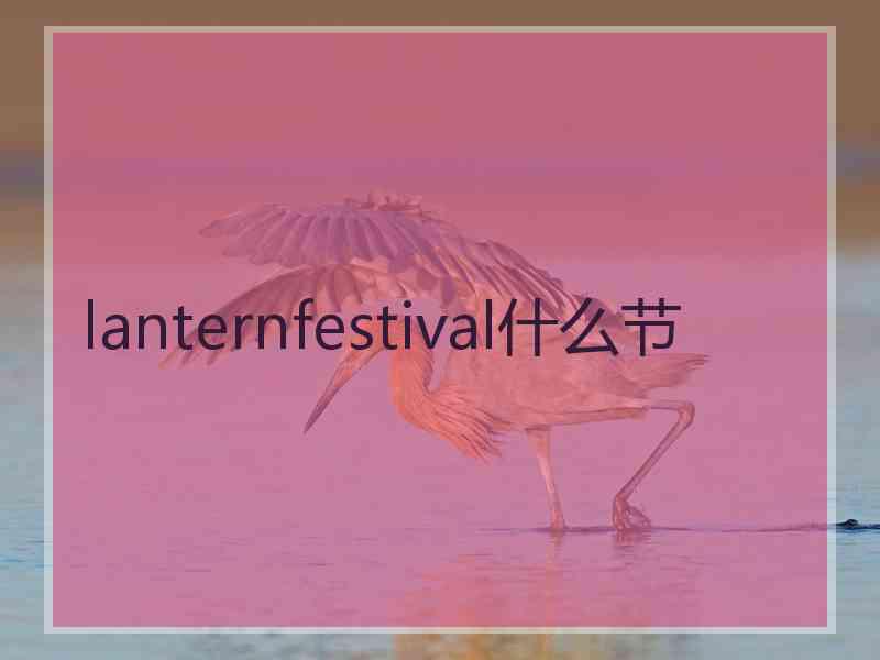 lanternfestival什么节