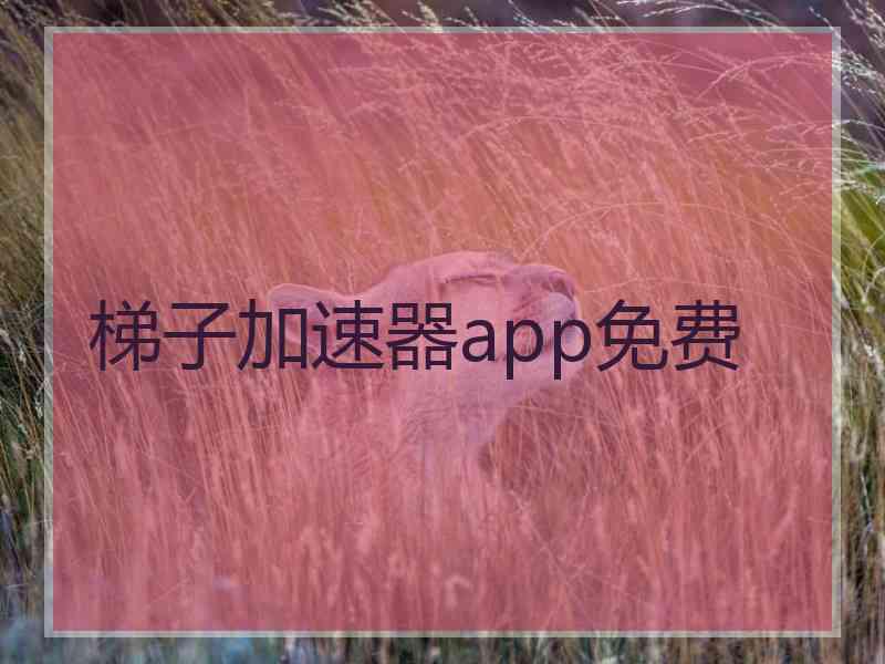 梯子加速器app免费