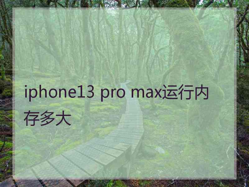 iphone13 pro max运行内存多大