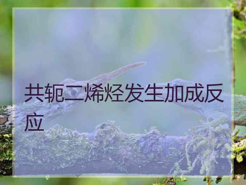 共轭二烯烃发生加成反应