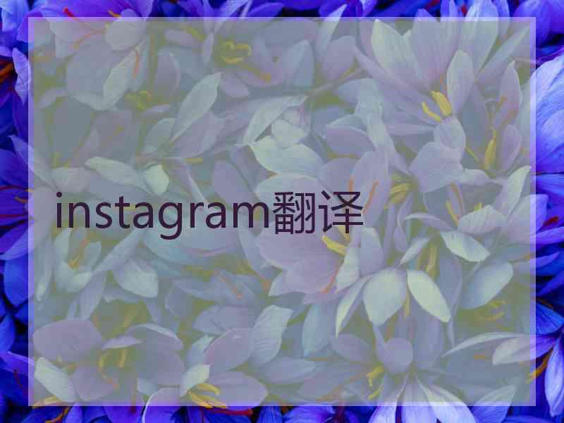 instagram翻译