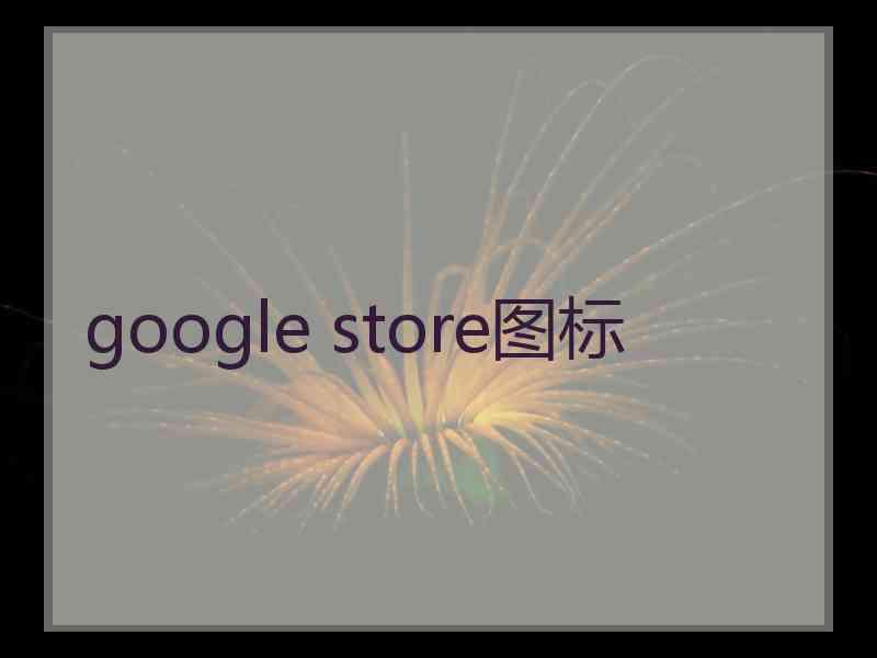 google store图标